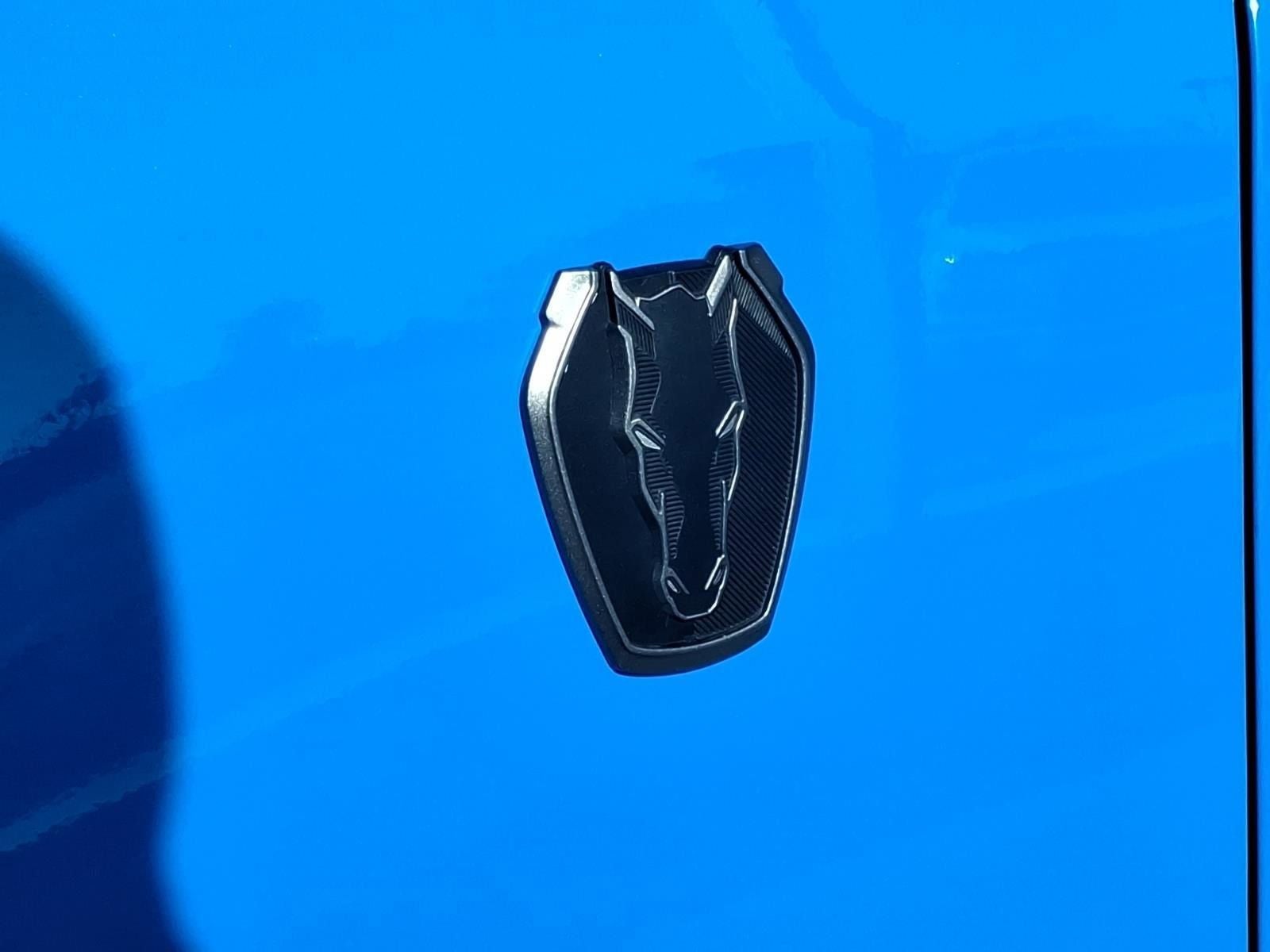 2025 Ford Mustang Dark Horse