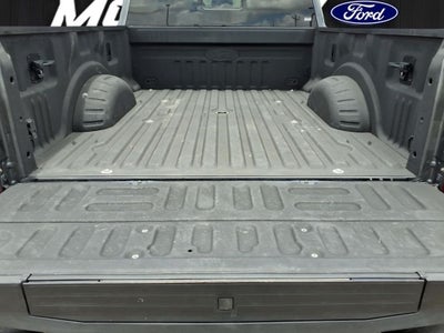 2020 Ford F-250 Platinum