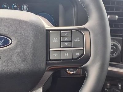 2025 Ford F-150 Platinum®