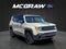 2017 Jeep Renegade Deserthawk